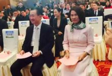 董明珠和王健林联手造车了!王健林:不多,也就5个亿,相信董总的眼光-王明昌博客