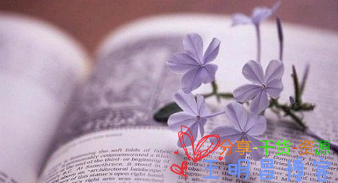 关于今日头条如何过新手期的一点小建议-王明昌博客